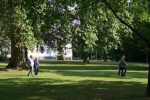 Grüne Idylle Nonnenwerth