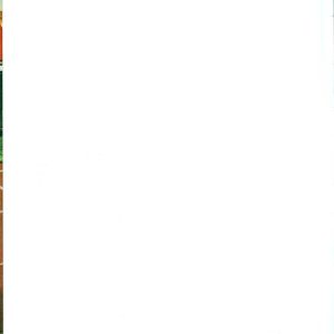 1961-Keramische-Bodenfliesen-_0040