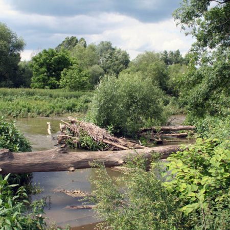 Auf kürzester Strecke zeigt die renaturierte Ahr stets ein ungemein wandelbares Gesicht.