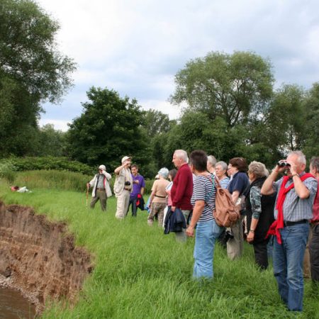 Idylle an der Abbruchkante: Ohne Uferbefestigung kann der Fluss ungehindert mäandrieren.